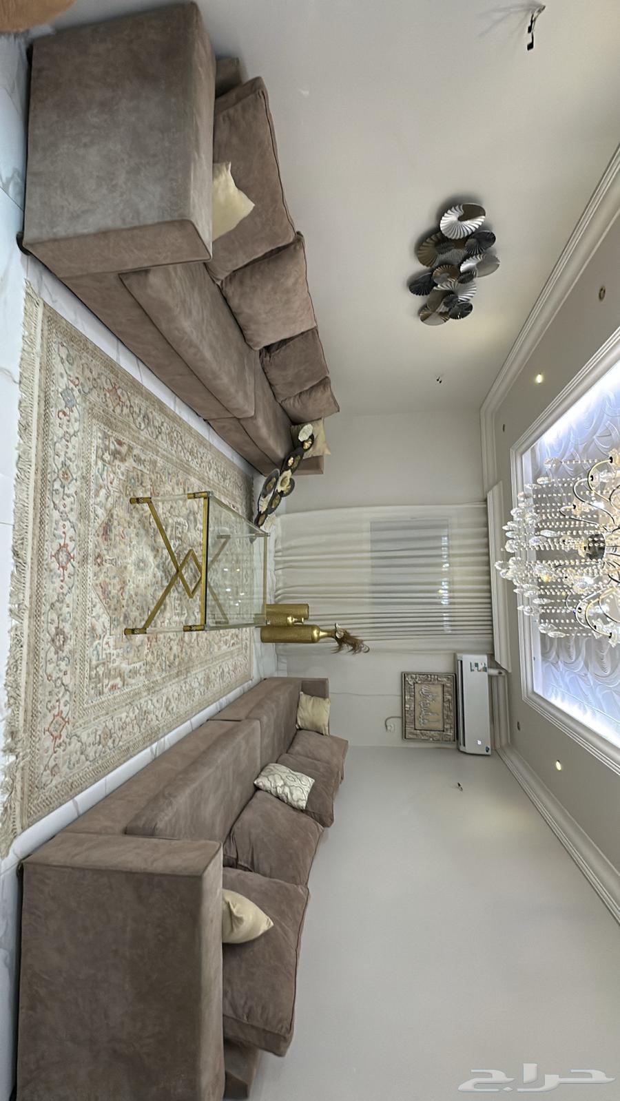 اغراض غرفة الضيوف سجاد طاولات استيل ديكور جداري64620317323522110