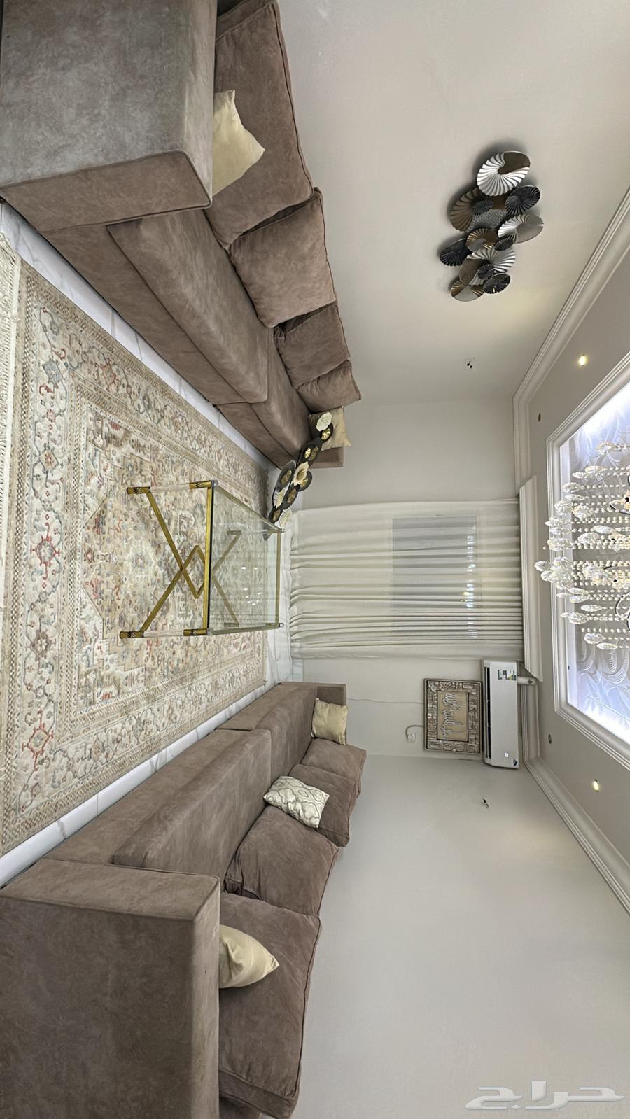 اغراض غرفة الضيوف سجاد طاولات استيل ديكور جداري64620317323522112