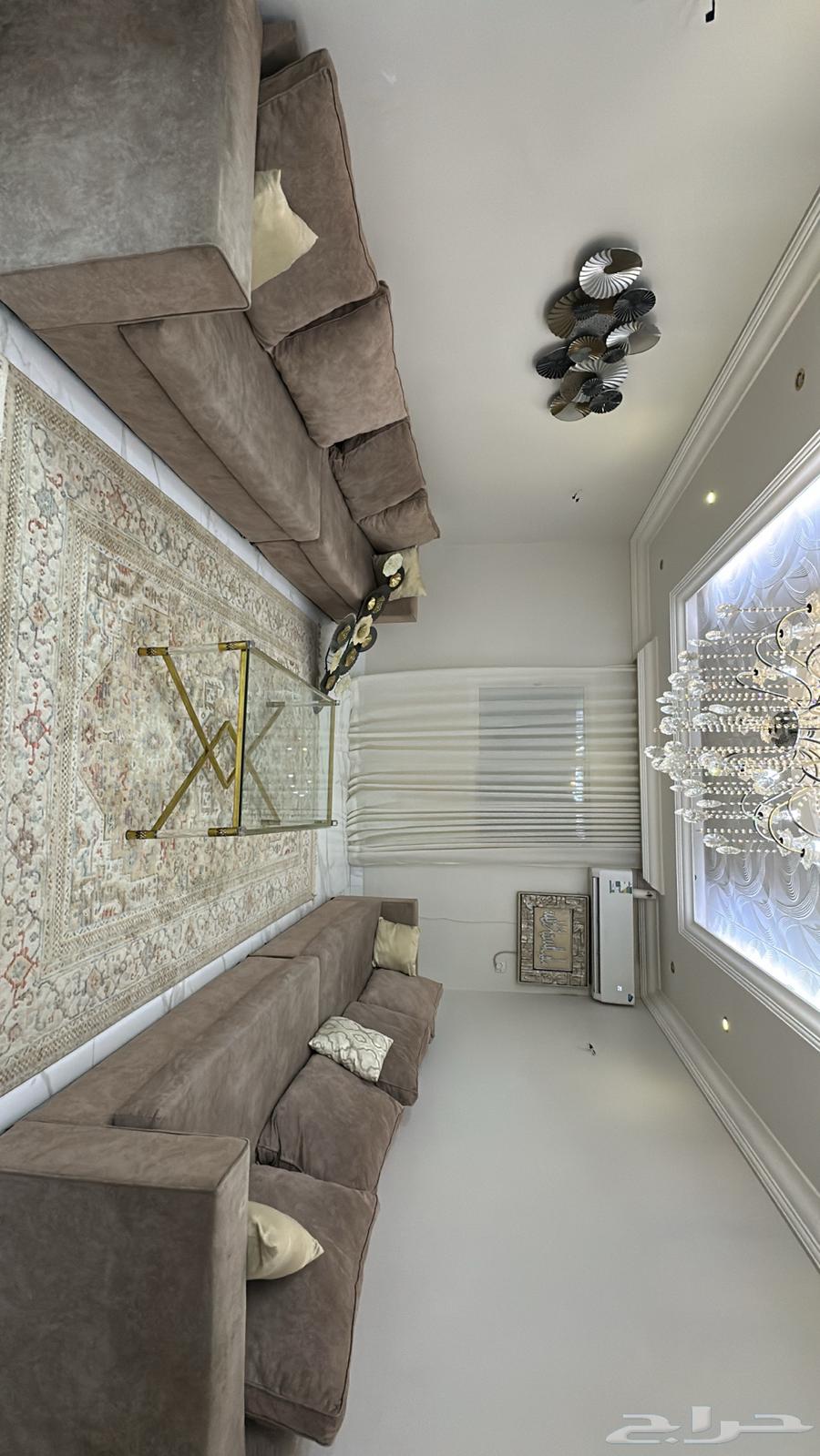 اغراض غرفة الضيوف سجاد طاولات استيل ديكور جداري64620317323522111