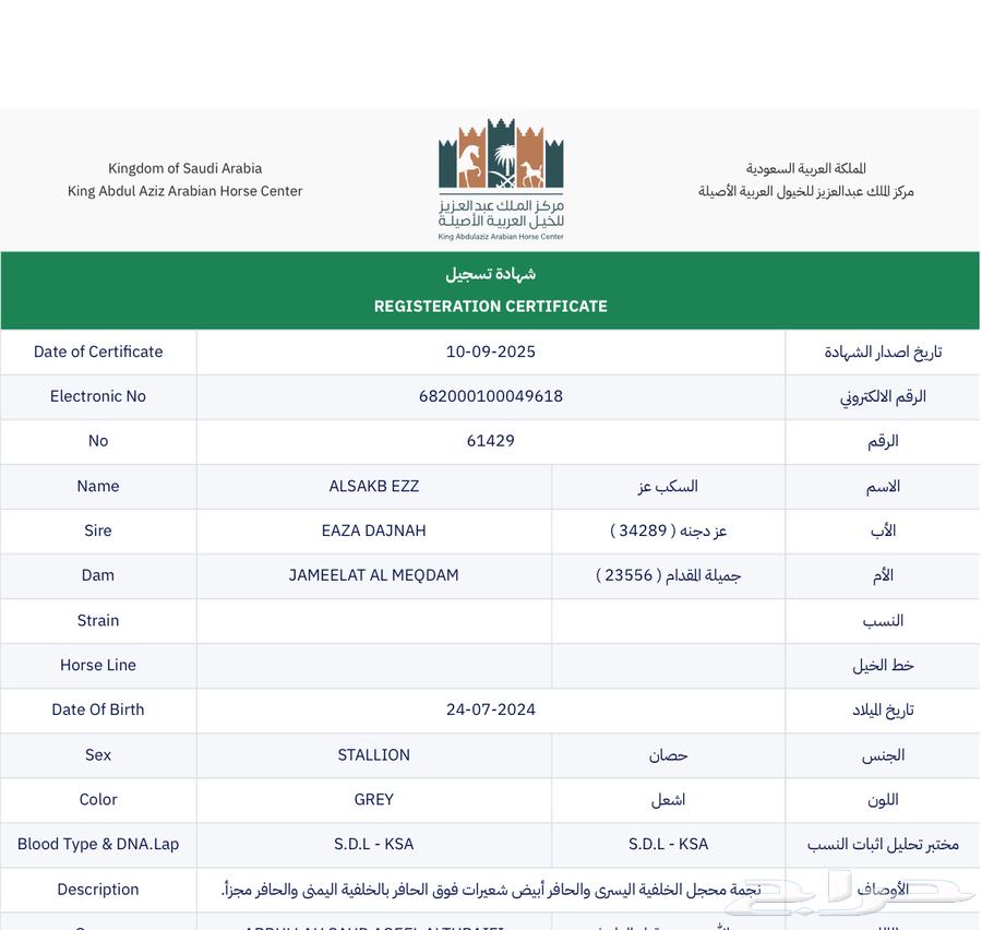 للبيع مهر واهو64509504805634113
