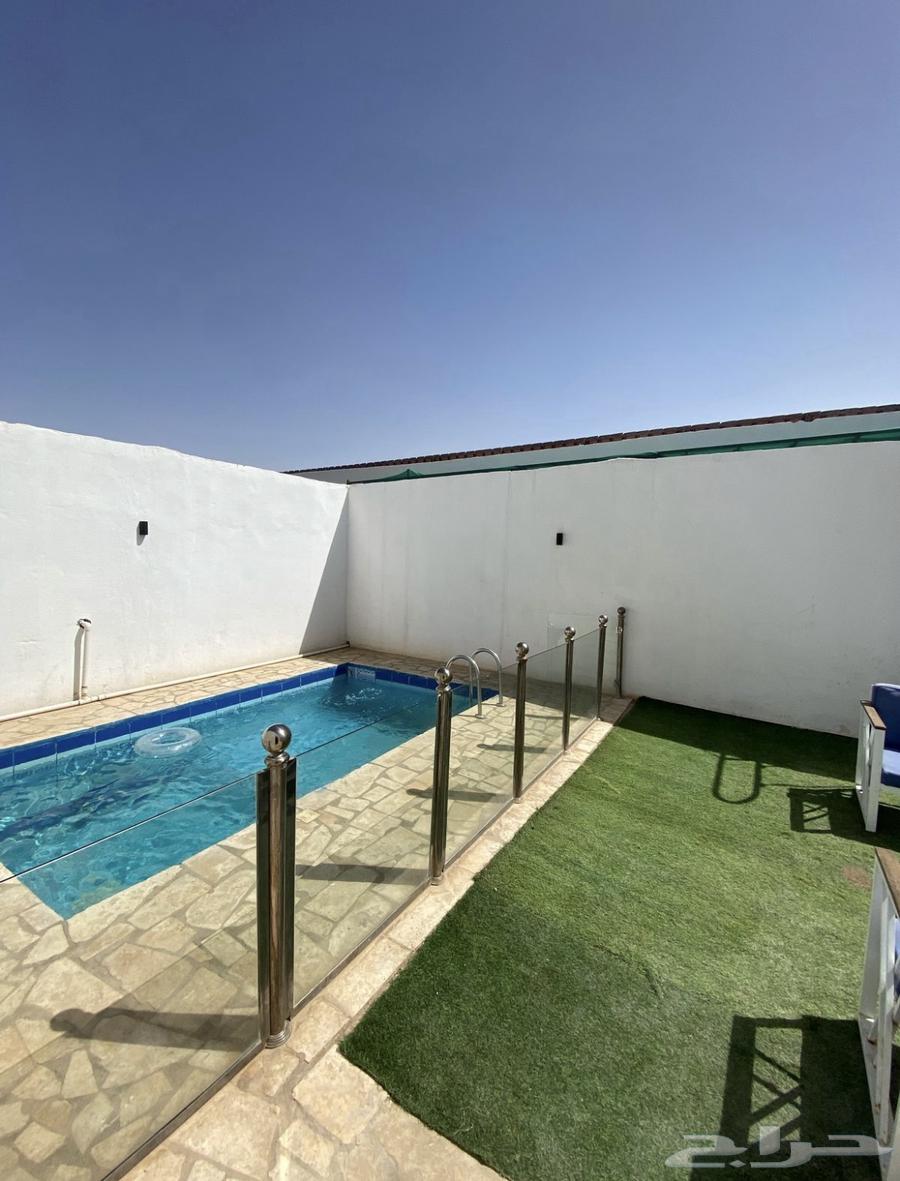 هاف داي64683376143361111