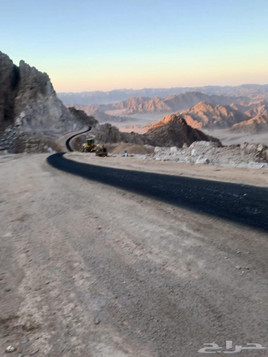 MC1 NC264169540267779111