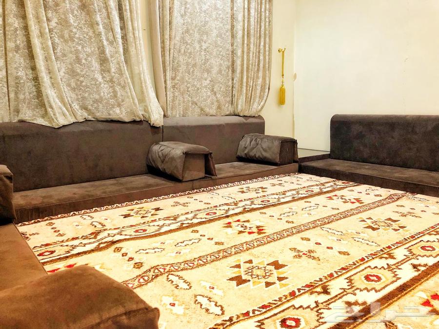 باطرمة لون بني للبيع مستعجل64683350046338113