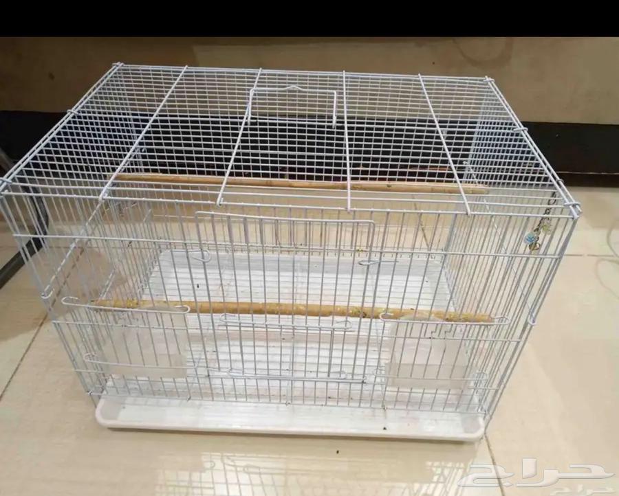 قفص للطيور ومستلزماتها القفص الصغير ب50 والكبير ب10064678551530883111