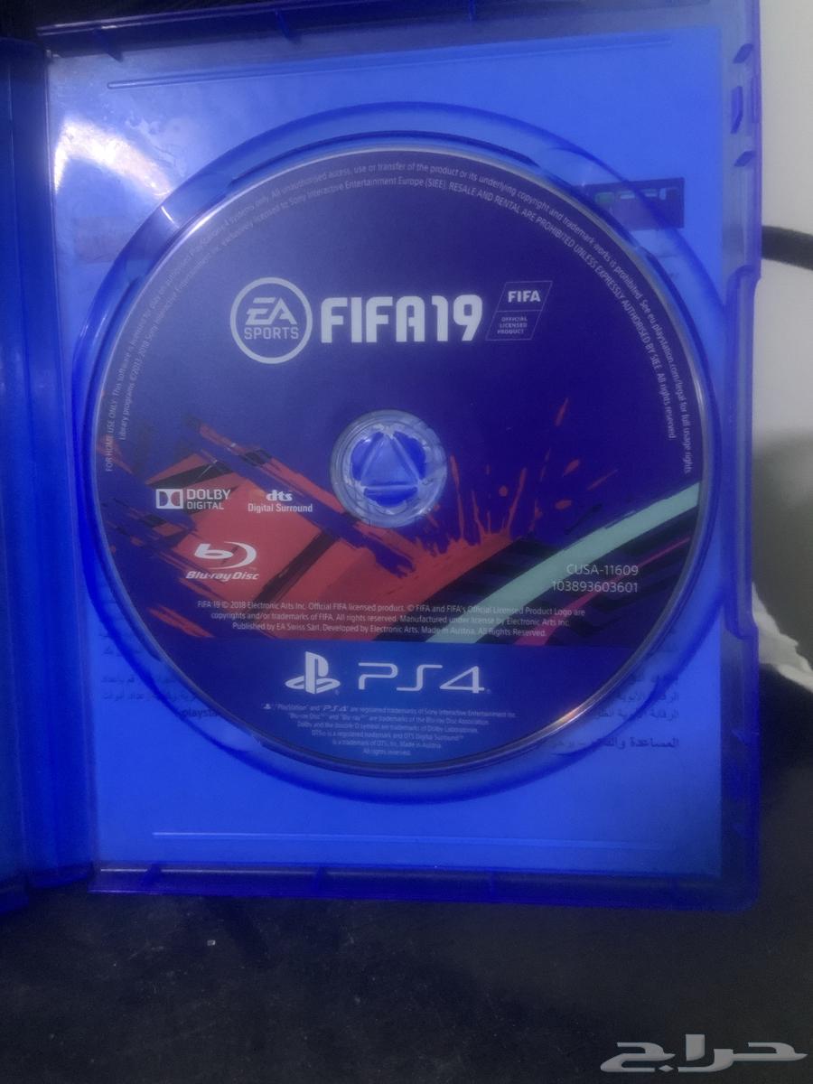 شريط فيفا 2019 السعر 2564678451470979112