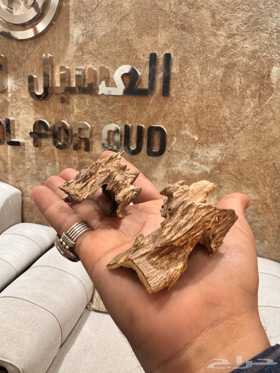 عود طبيعي بورمي غابات قديم دبل64681150135939111