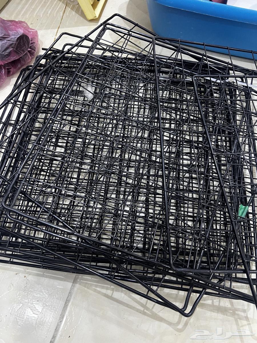 Cat Net and Other Items64680198534402112