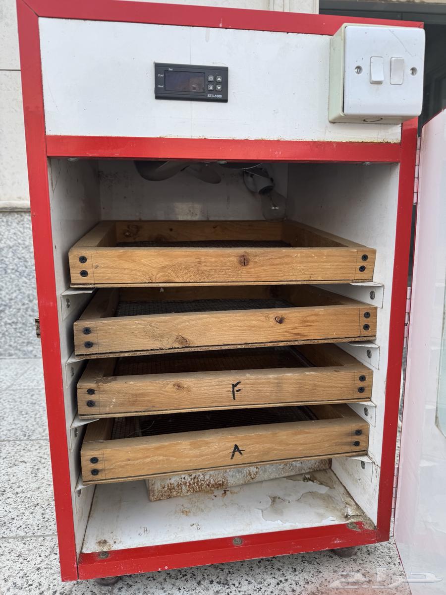 فقاسة بيض للبيع64679735353729113