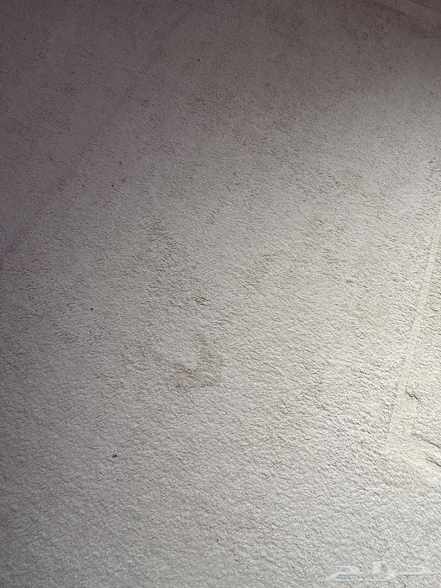 بساط ابيض بيج 4 في 464679273917443112