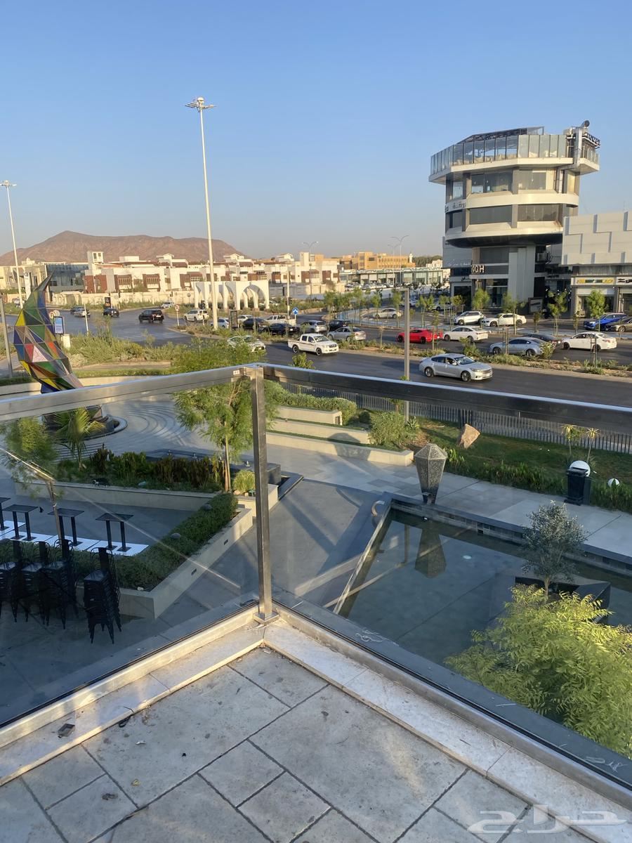 استنالس استيل وحداده والالمنيوم64169541696513110