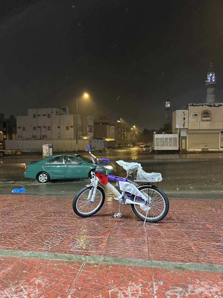 السلام عليكم. سيكل رامبو نظيف64679361910275113