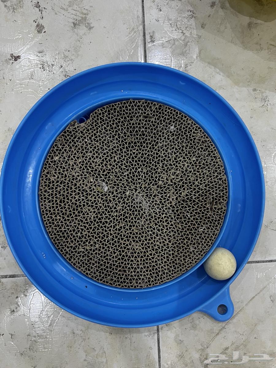 Cat Net and Other Items64680198534402110