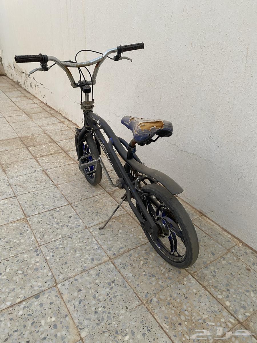 سيكل كوبرا مقاس 1664678601481089114