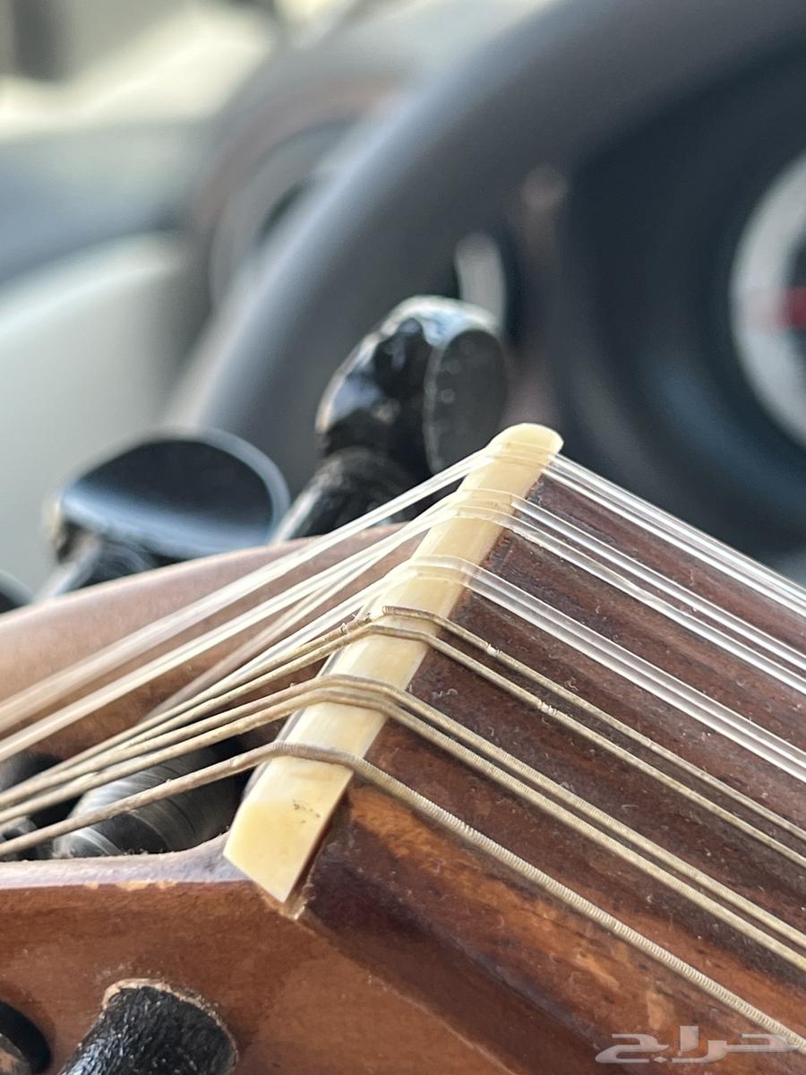 عود نص لوكس64678476369025110