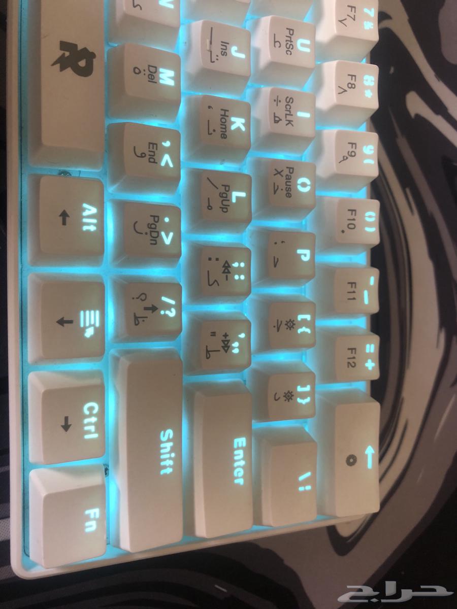 Mouse and Keyboard64680761256066114