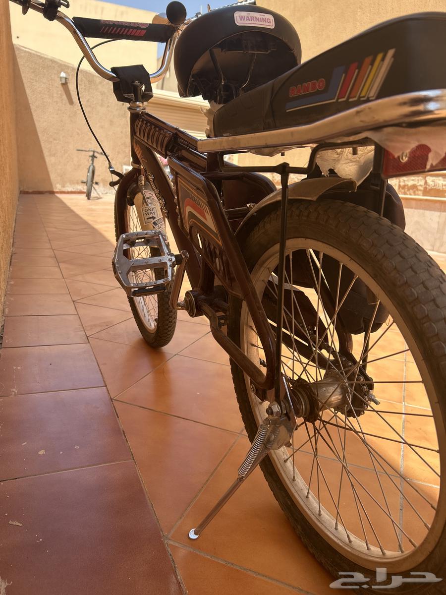 رانبو أندنوسي اصلي64679424845698113