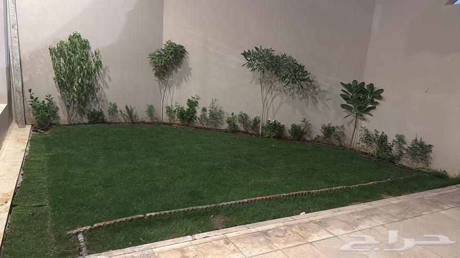 Nursery and landscape design64168681702402112