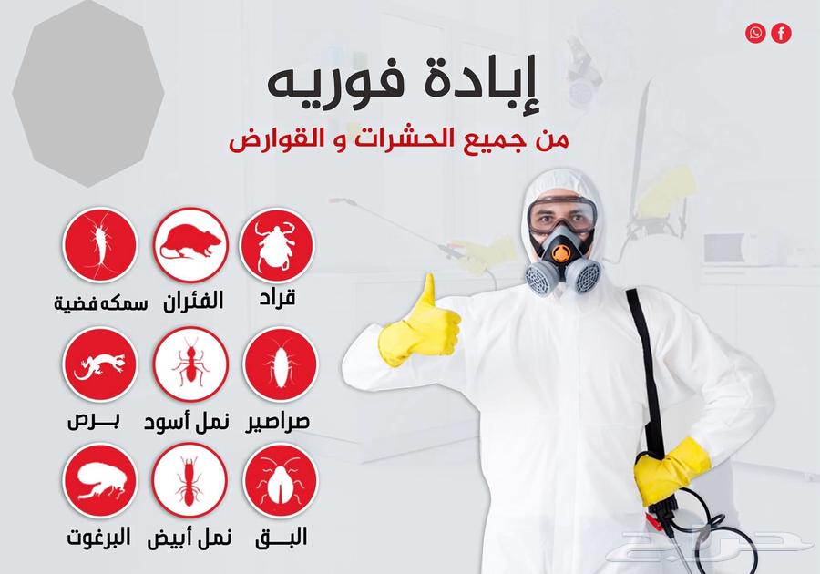 شركة مكافحة حشرات رش صراصير وبق وعقارب بالمدينة المنورة64169146793091110