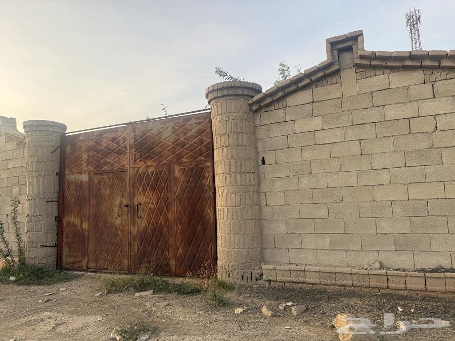 1800 sqm compound in a residential area in Al-Mughaissab64143378399106111