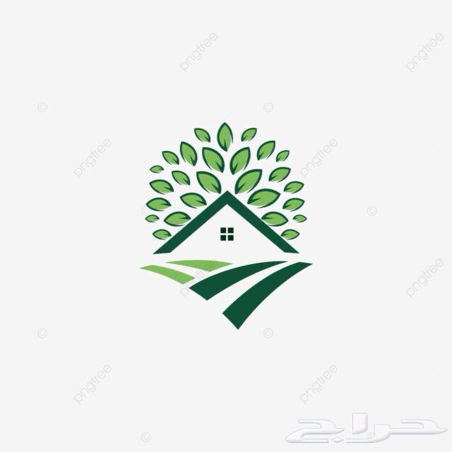 مطلوب شقة للايجار بحي اليوموك غرفة وصاله ومطبخ وحمام64150369733633110