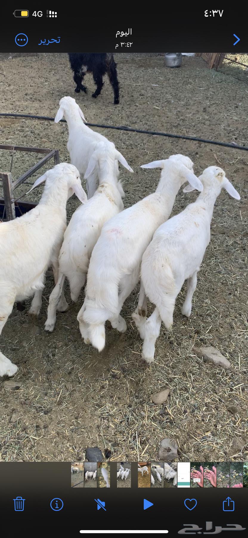 Six Conditions for the Validity of a Contract64678414163842110