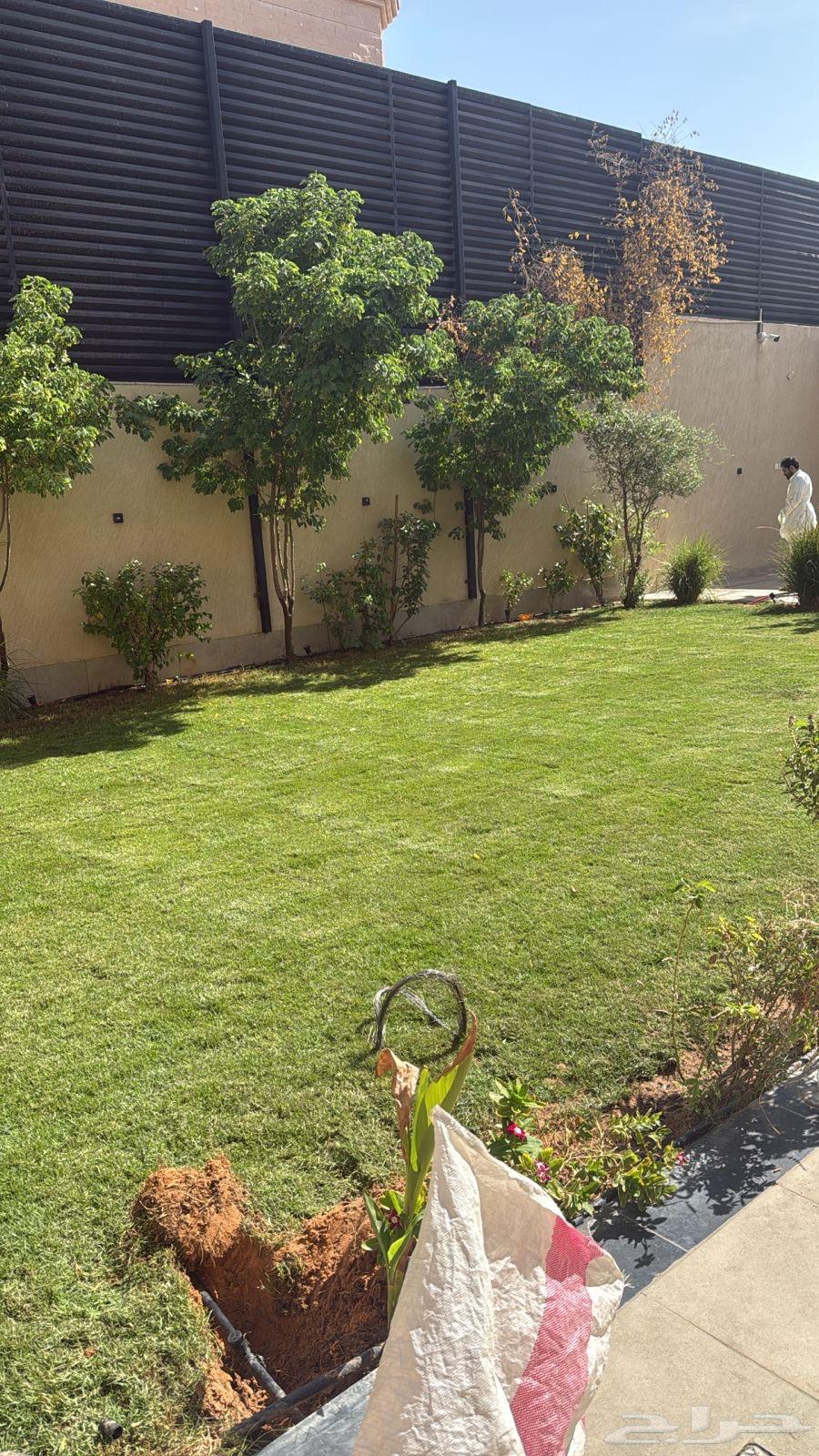 Nursery and landscape design64168681702402113