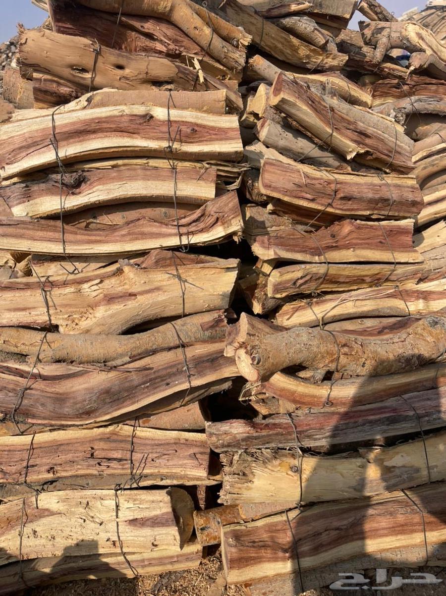 حطب سمر شرط يابس ومضمون64677438790402113