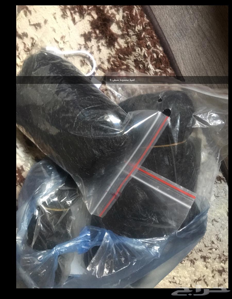 شبكة صيد حرير64607295918210114