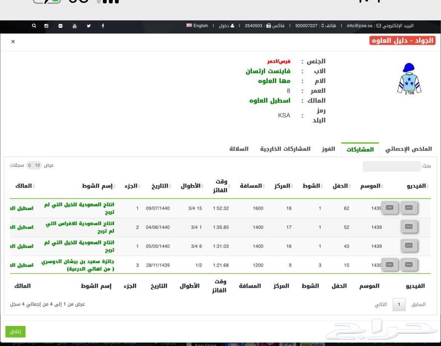 فرس انجليزية مسجله للبيع سعر مناسب جدا64695417154178113