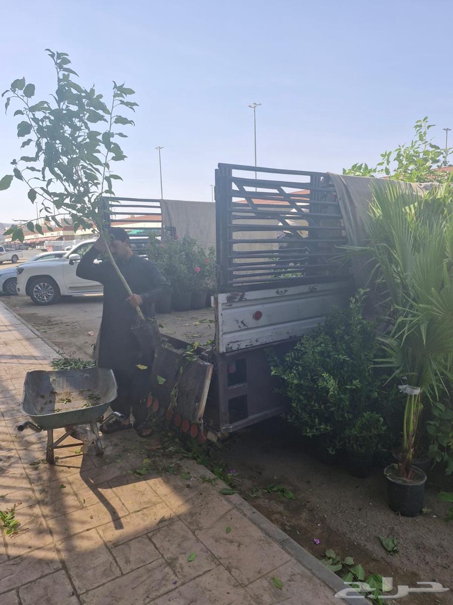 تعلن مشاتل عالم النباتات عن رحله زراعيه متجه الى الحناكية64163287746051112