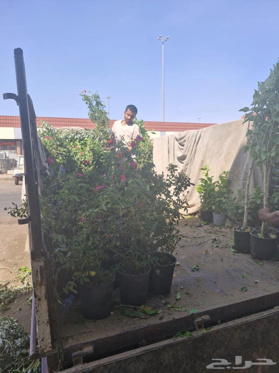 تعلن مشاتل عالم النباتات عن رحله زراعيه متجه الى الحناكية64163287746051111