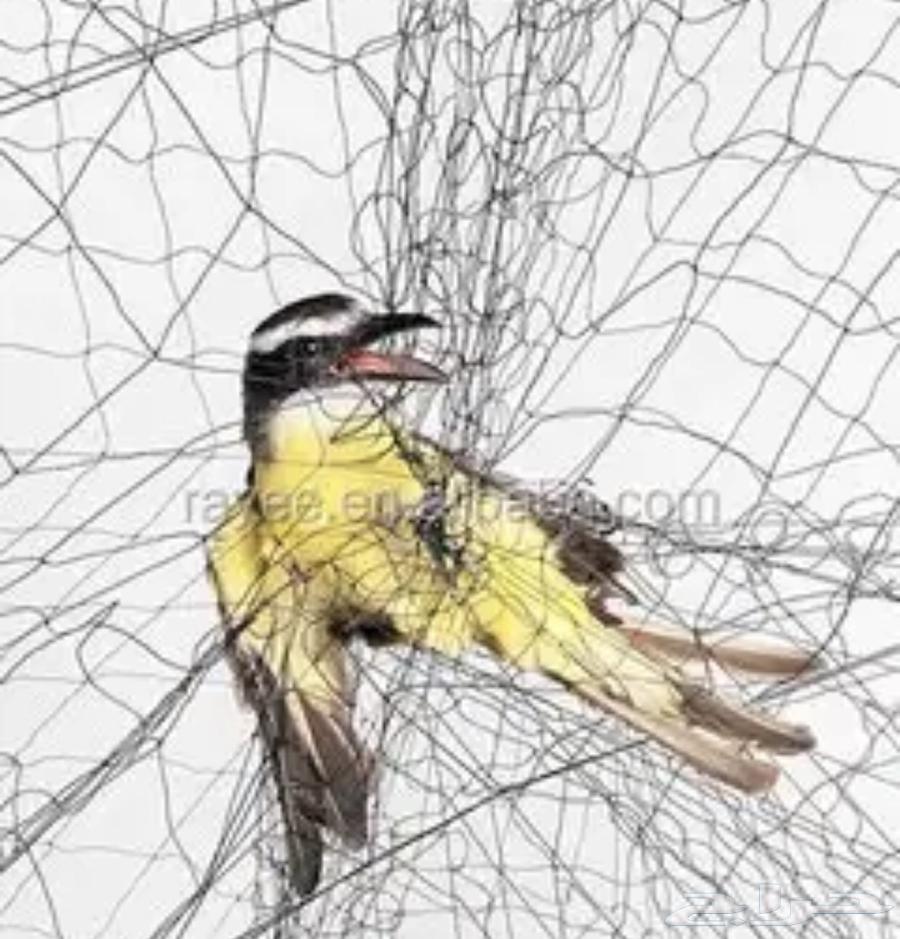 شبكة صيد حرير64607295918210113