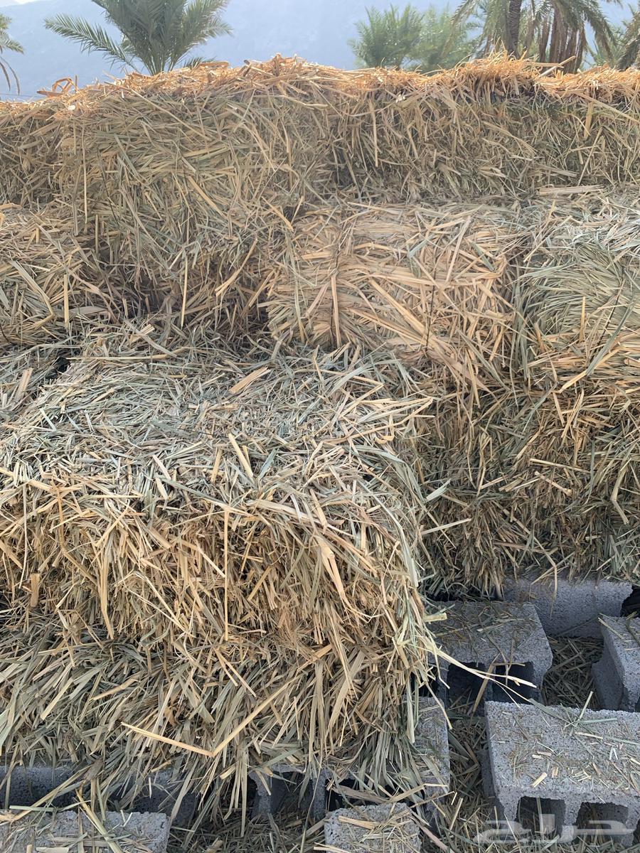 علف بونيكام64618701959041110