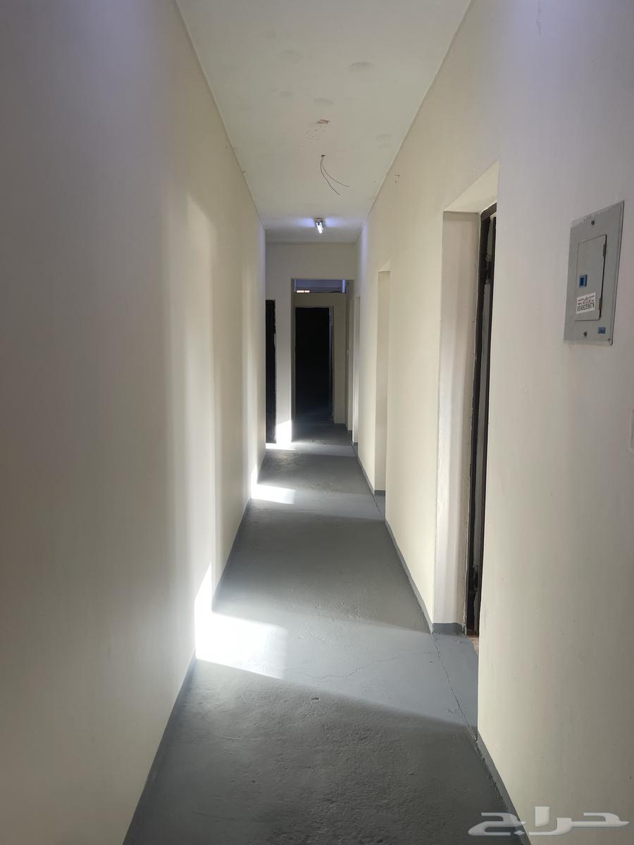 عمارة للإيجار