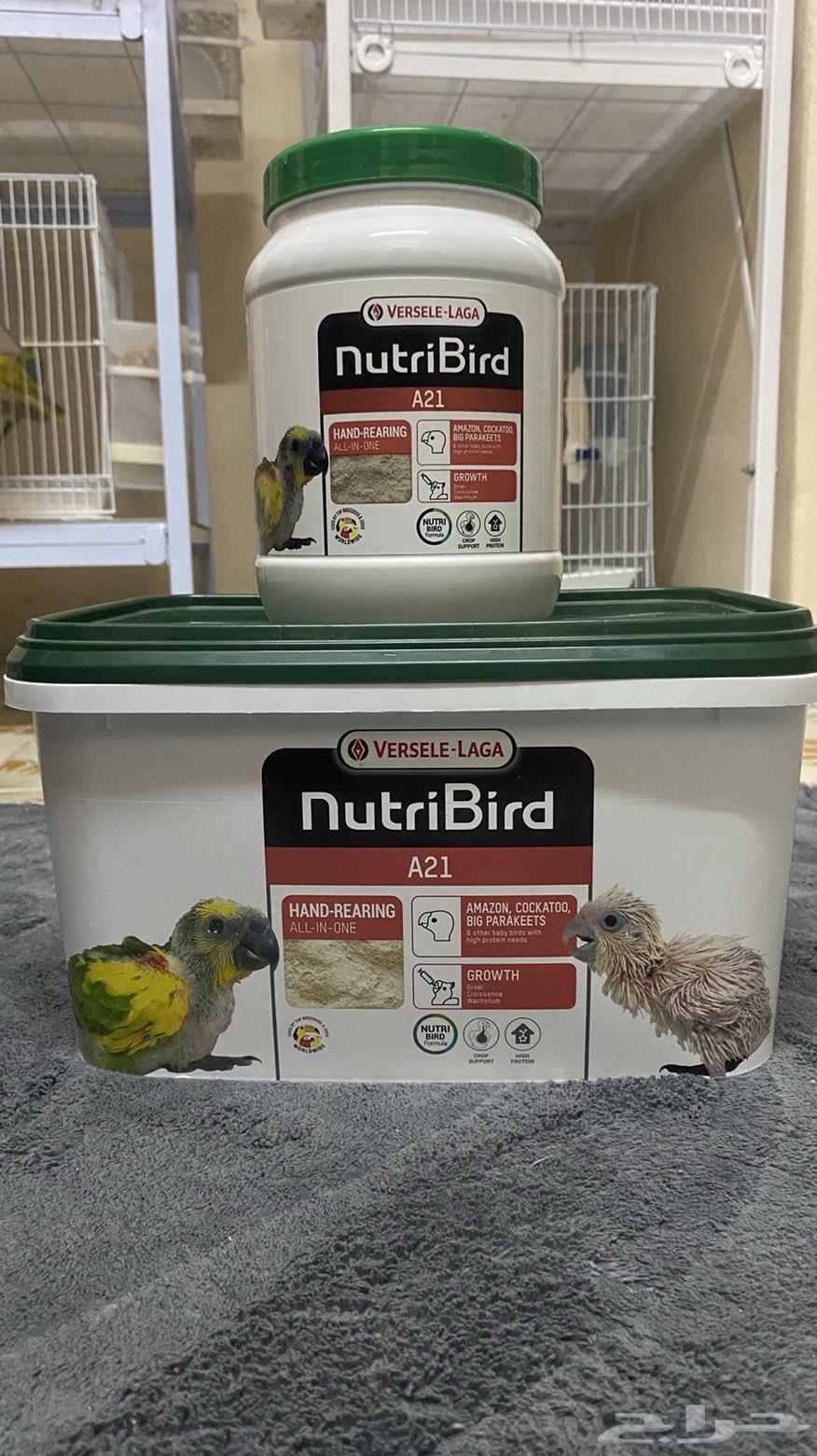 سيريلاك فيرسل لاقا للطيور64552091112579110