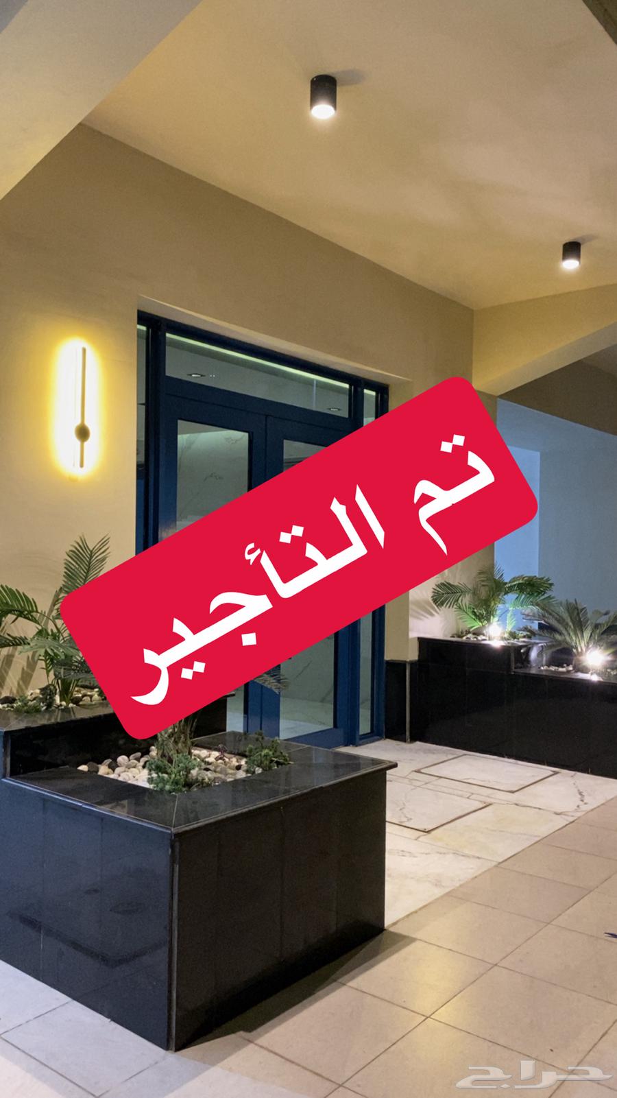 شقة للإيجار