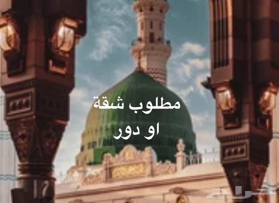 مطلوب شقة او دور 4 او 5 غرف في القصواء مخطط الامير نايف64151225638659110