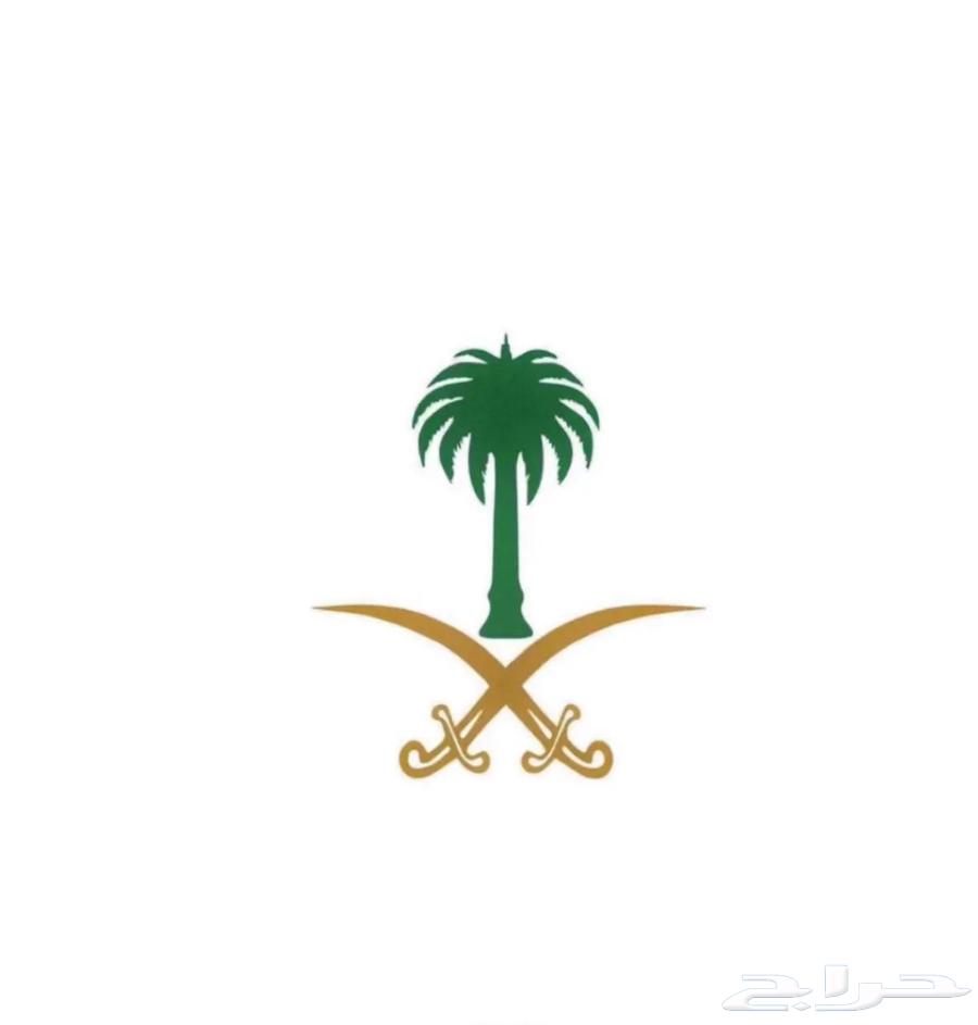 ارخص عروض الياف فايبر 172 ريال64172701294593110