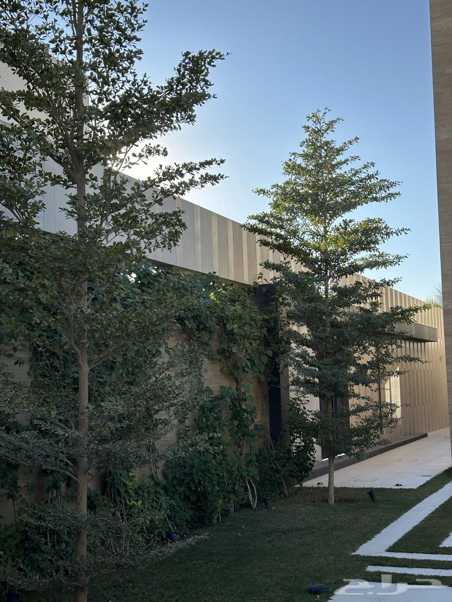 تنسيق حدائق منزلية64172901664129113