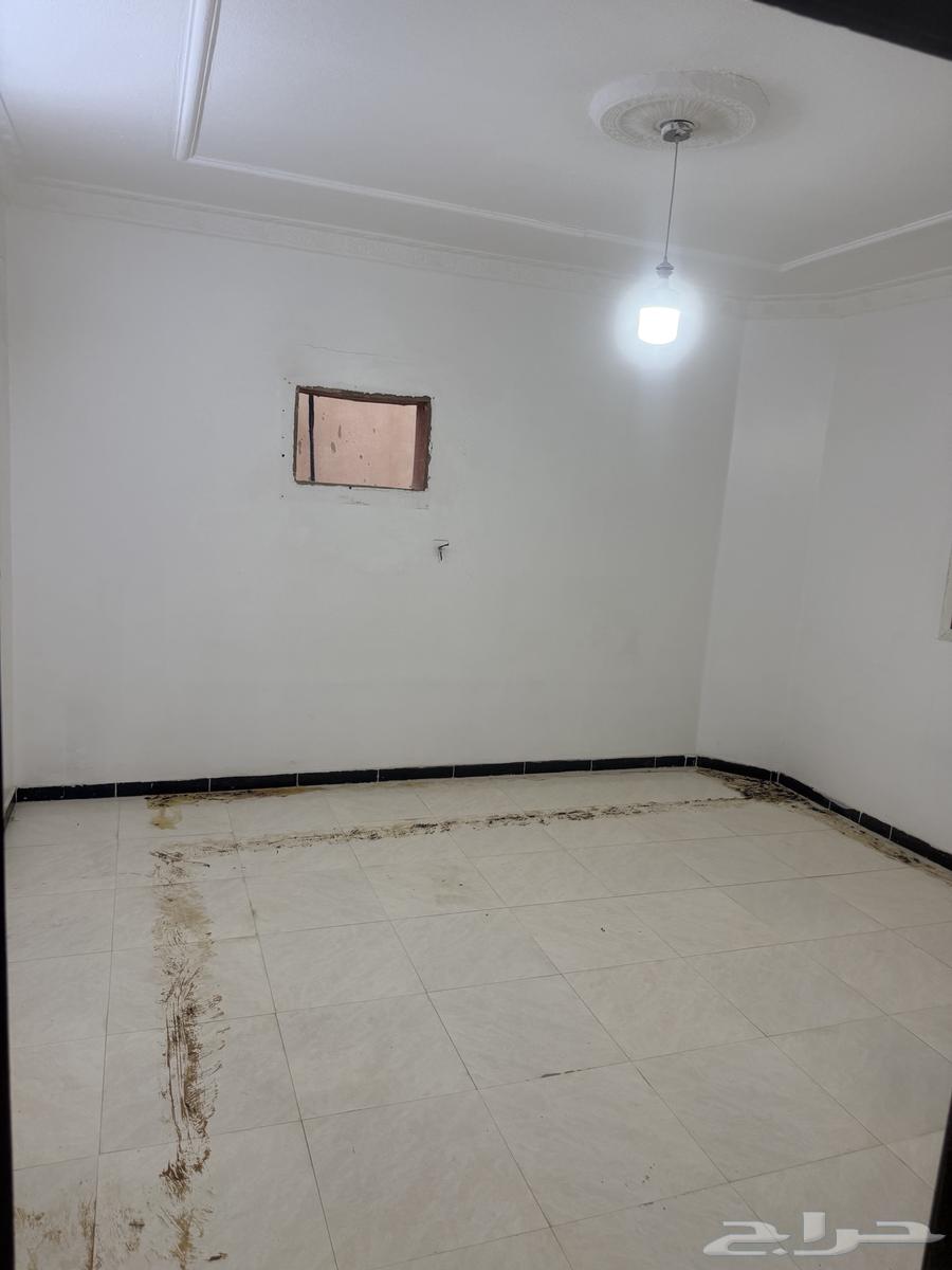 شقة للإيجار
