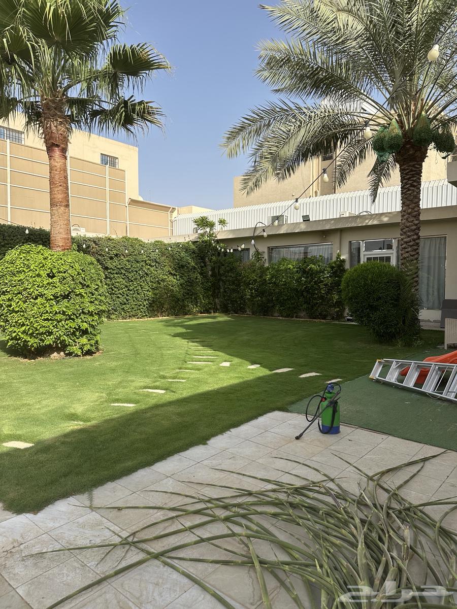 تنسيق حدائق منزلية64172901664129110