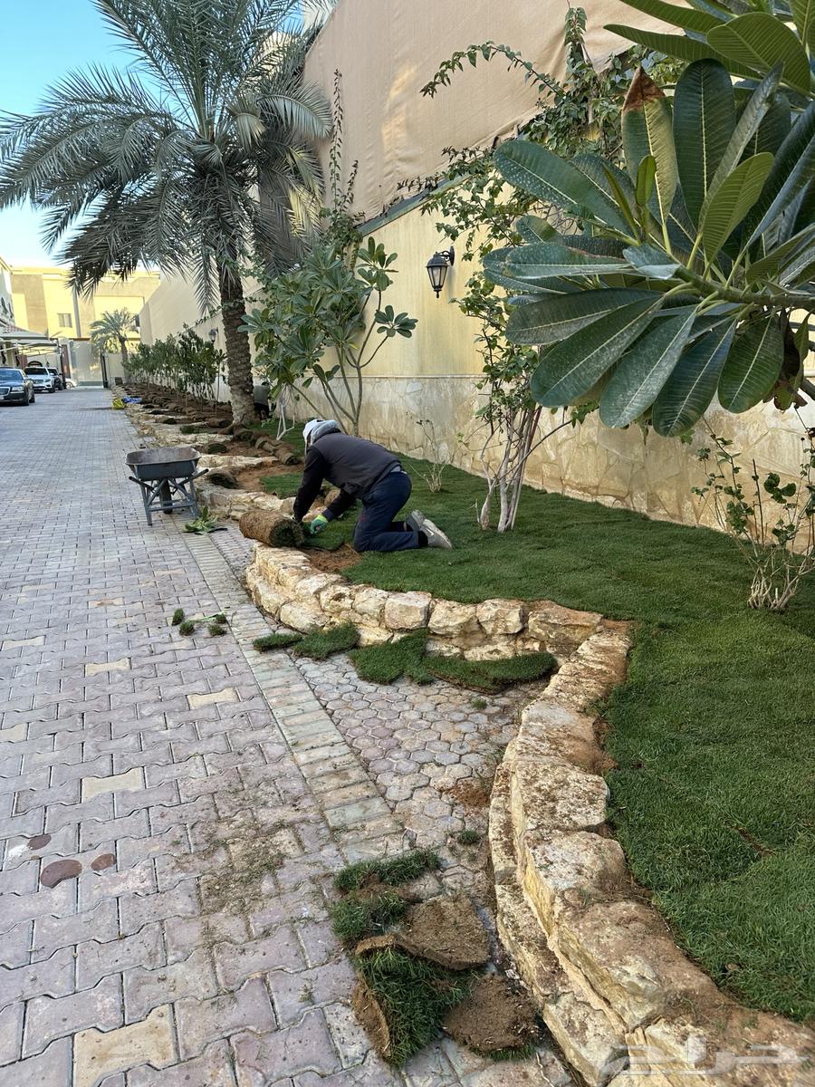 تنسيق حدائق منزلية64172901664129114