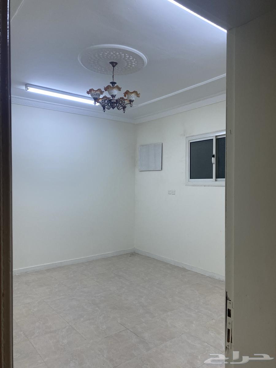 ملحق غرفتين وصاله القادسية 1 تبوك64222225787521111