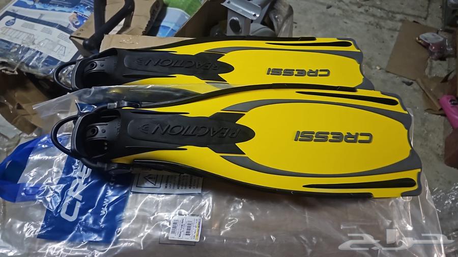 زعانف كريسي جديده64531182205186112