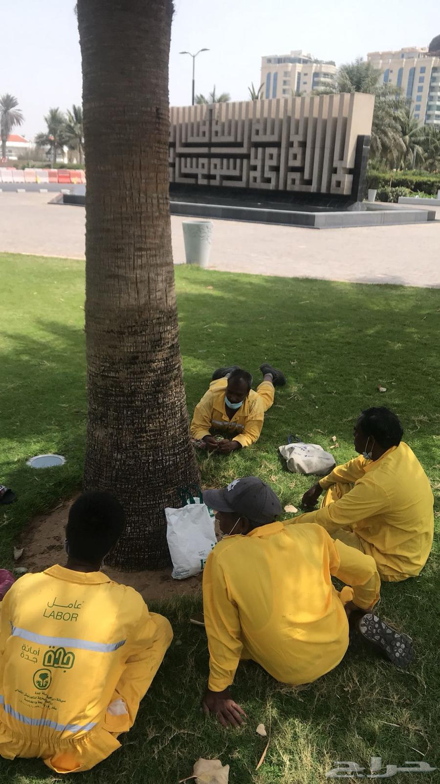 سطحه متواجد في الرياض وراجع المدينه64173949787139112