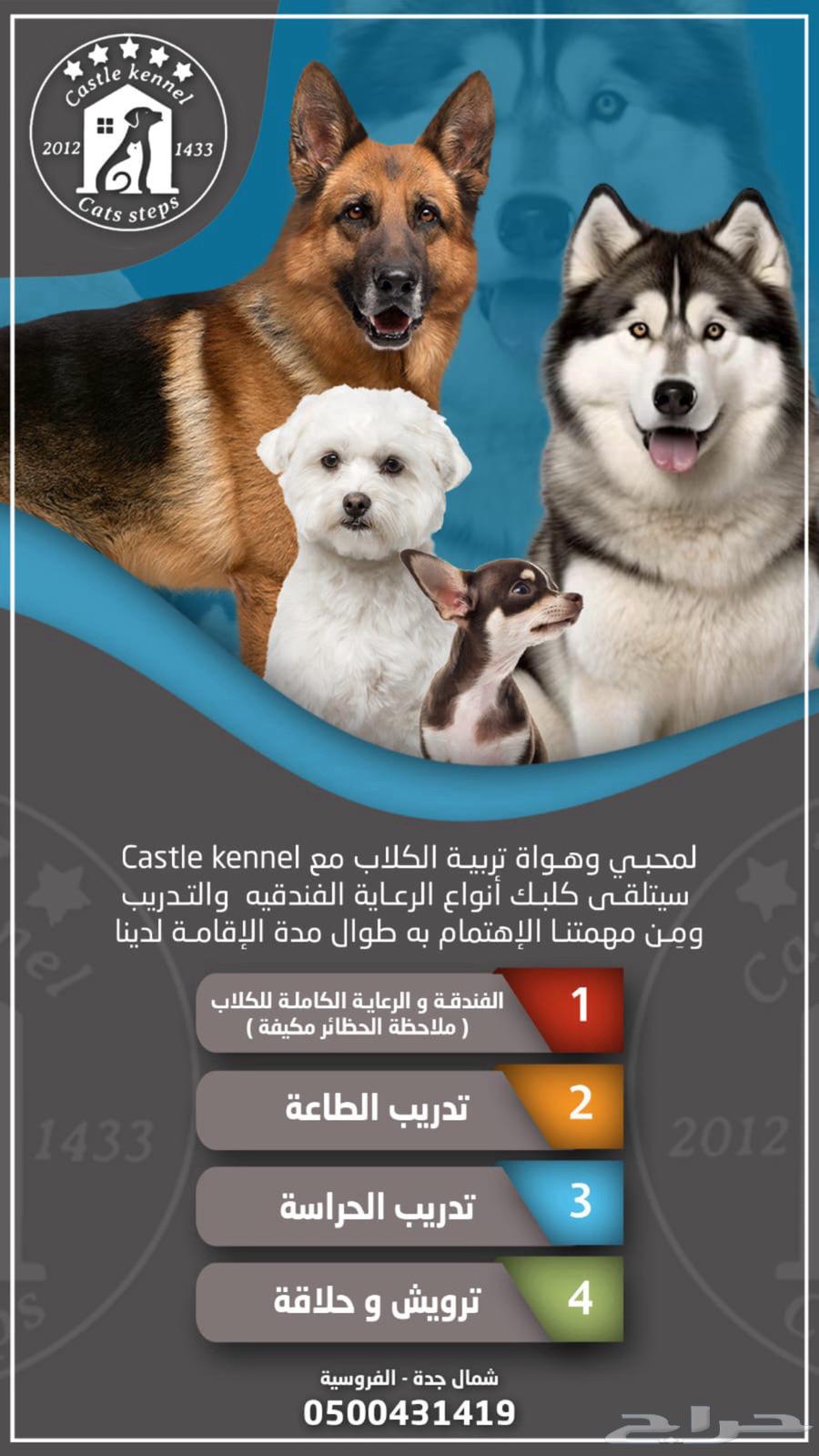 فندقة وتدريب كلاب64174404638723110