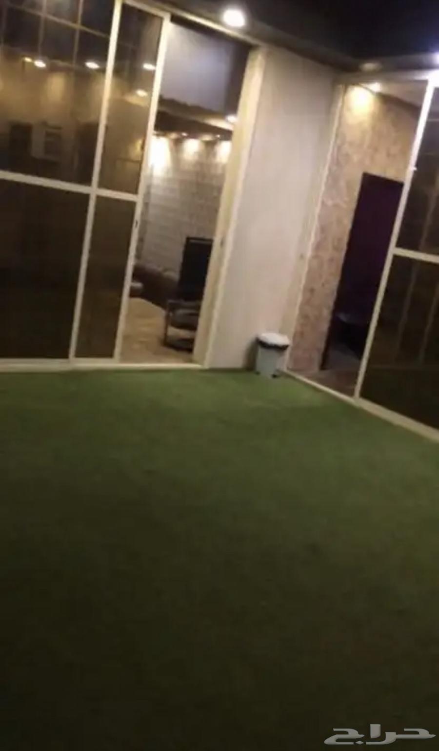 شاليهات الفهد ( ايجار شهري عزاب)64151689011715110