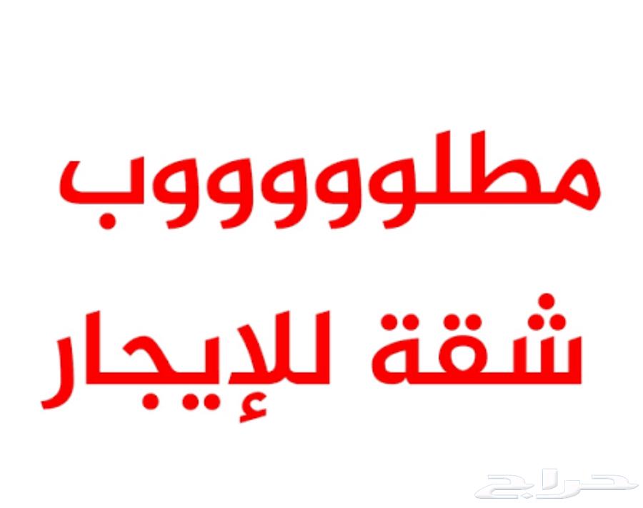 مطلوب شقه للايجار في البحيرات او جهة ممشى العمره64151690572291110
