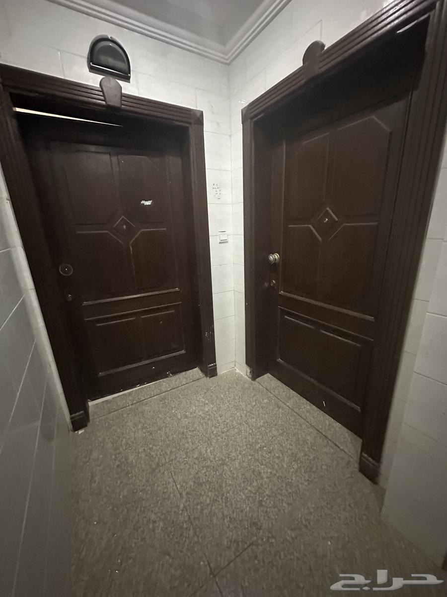 شقة للإيجار