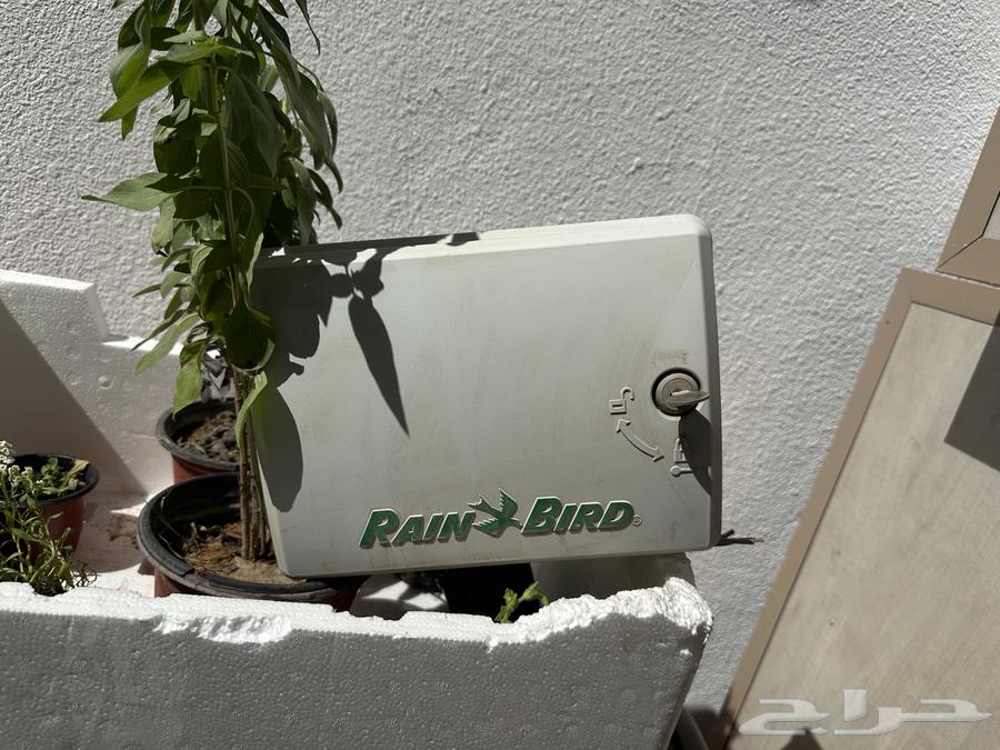 جهاز رين بيرد64587714609923110